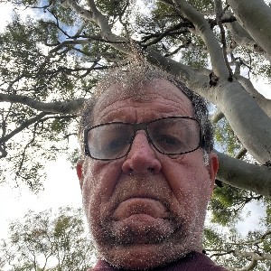 Stuart Robertson